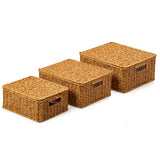 EZOWare Set of 3 Resin Woven Storage Baskets with Lid, Decorative Organizer Container Bin Box with Handles - 3 Sizes, Brown