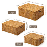 EZOWare Set of 3 Resin Woven Storage Baskets with Lid, Decorative Organizer Container Bin Box with Handles - 3 Sizes, Brown